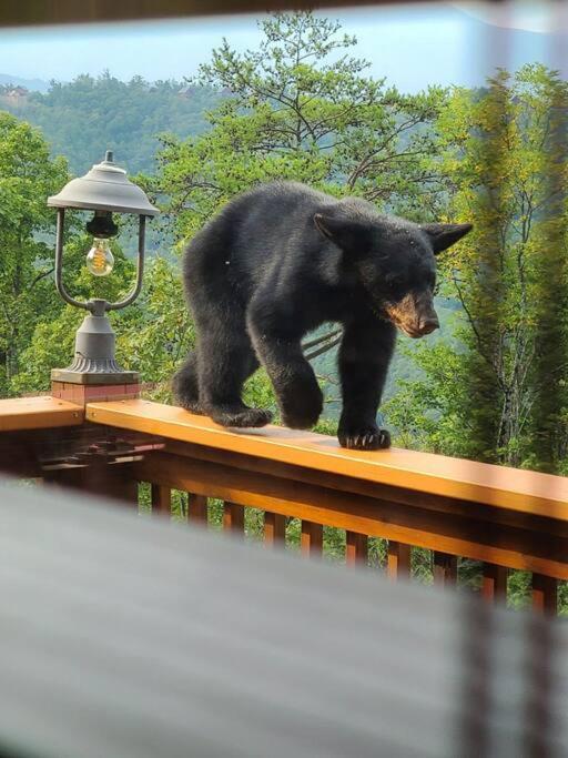 Yogi'S Den: Breathtaking Views! 3 Min To Dollywood, On 1 Acre! Villa Sevierville Luaran gambar